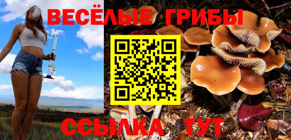 Псилоцибиновые грибы прущие грибы Балашиха